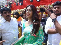 Anu Emmanuel Launched Chandana Brothers Shopping Mall At Vikarabad
